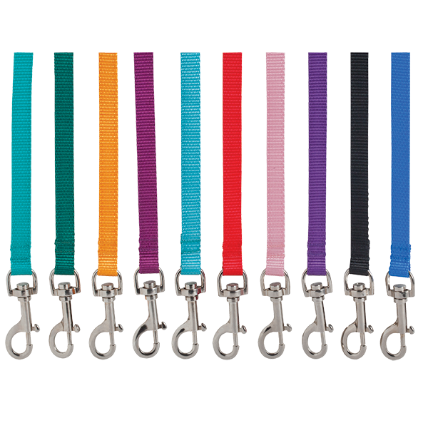 5' Personalized Bolt-Snap Leashes