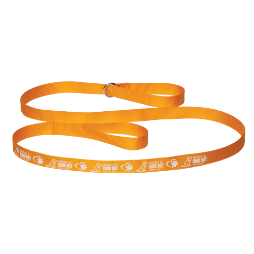 6 Pet Slip Leads