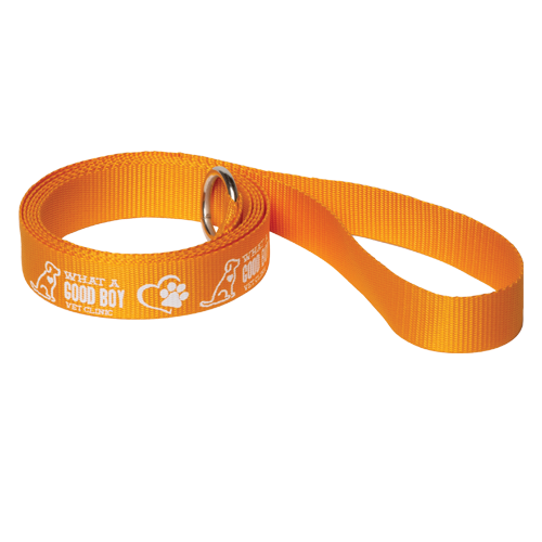 WH8095-Pet-Leads