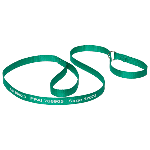 WH8095-Pet-Leads