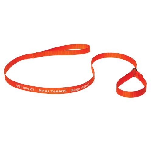 WH8095-Pet-Leads