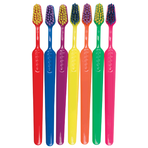 WH8299 Neon Pet Toothbrush