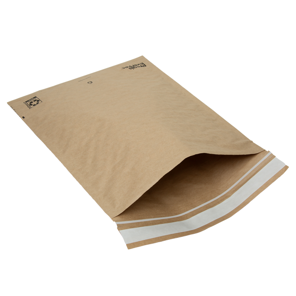 WH8170 cushioned paper mailer