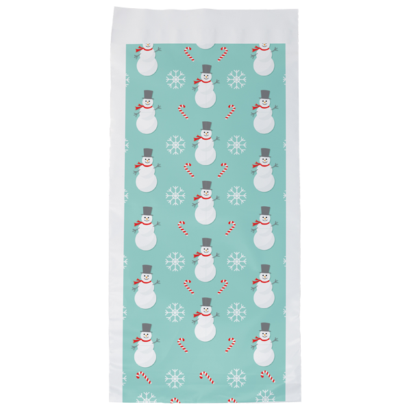 WH8209S Snowman Seasonal Predesigned poly mailer blank