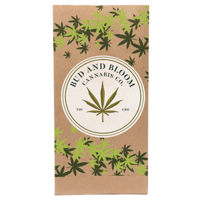 PBAN1042 paper bag 