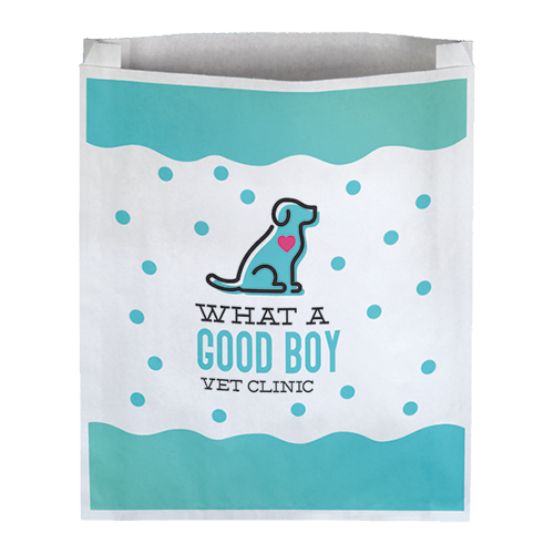 PBD1541 paper bag printed