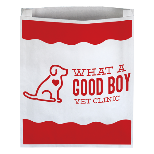 PBD1511 paper bag