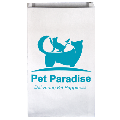 PBD2011 paper bag blank