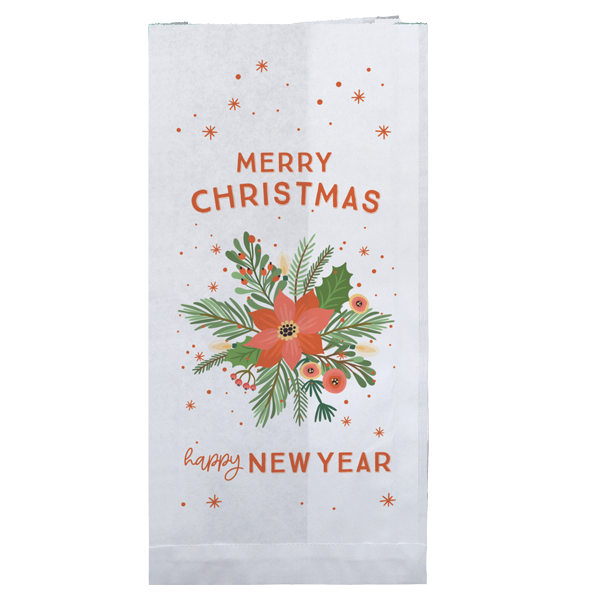 PBSCTC3XS paper bag