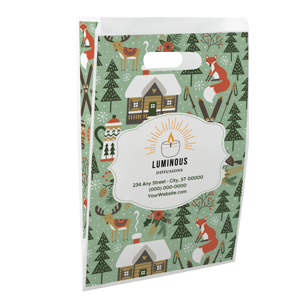 PBSCTC4L paper bag