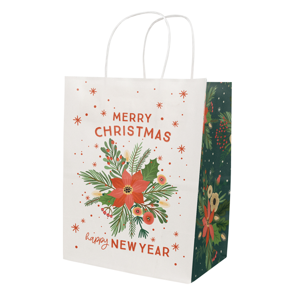 PBSCTSHC3 paper bag
