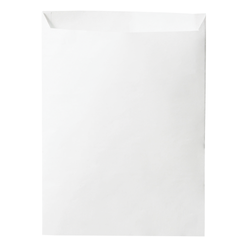 PBS paper bag blank