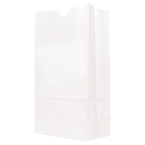 WH8034 paper bag blank