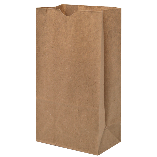 WH8038 paper bag blank