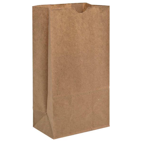 WH8038 paper bag blank