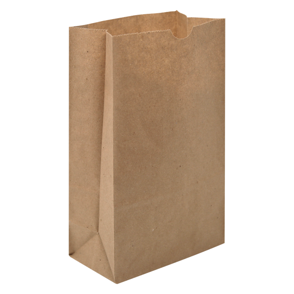 WH8039 paper bag blank
