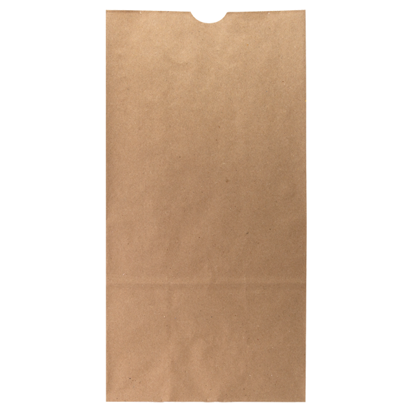 WH8041 paper bag blank