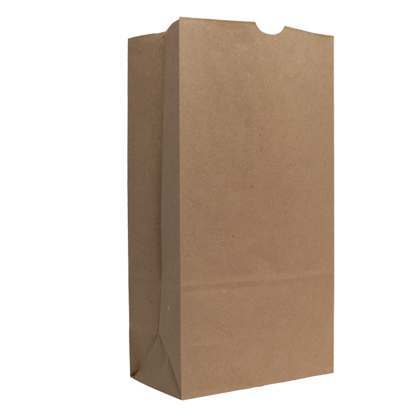 WH8041 paper bag blank