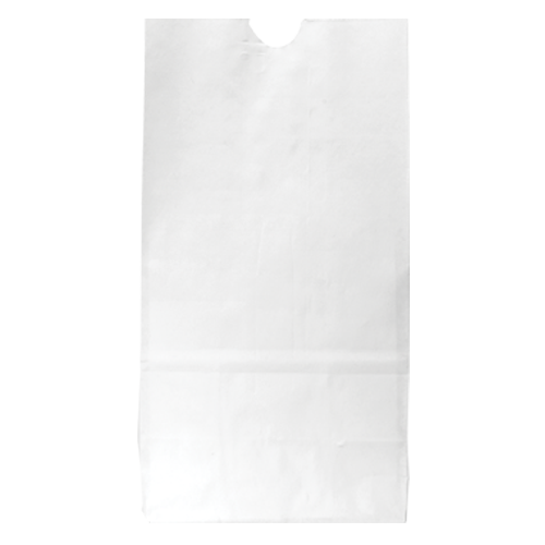 WH8044 paper bag blank
