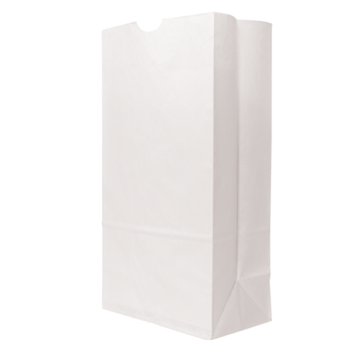 WH8046 paper bag Blank