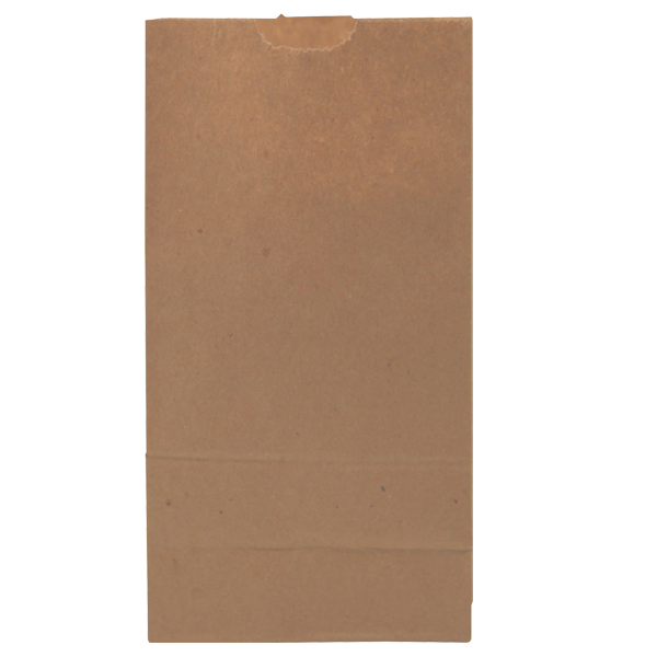 WH8047 paper bag blank