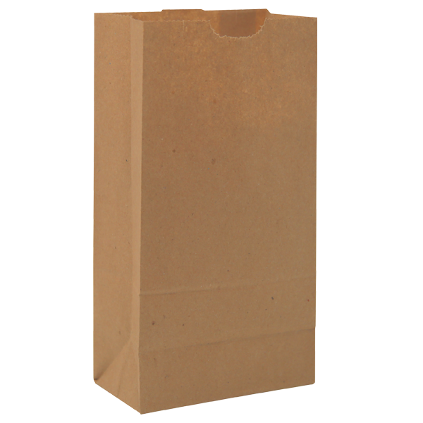 WH8047 paper bag blank