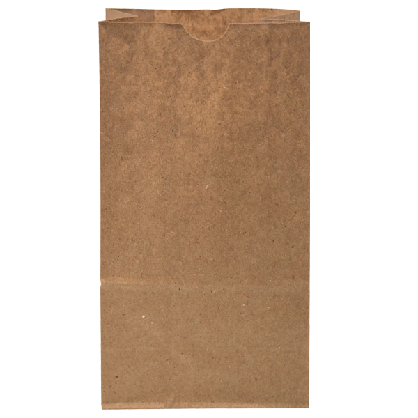 WH8048 paper bag blank