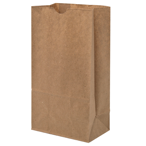 WH8048 paper bag blank