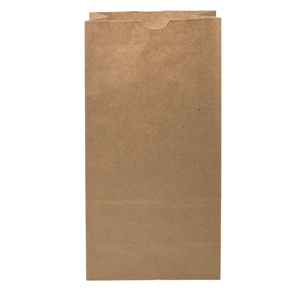 WH8050 paper bag blank