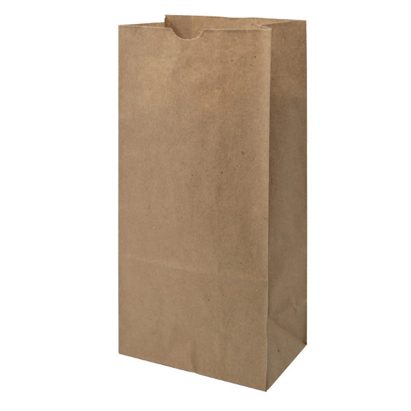 WH8050 paper bag blank