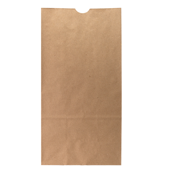 WH8051 paper bag Blank