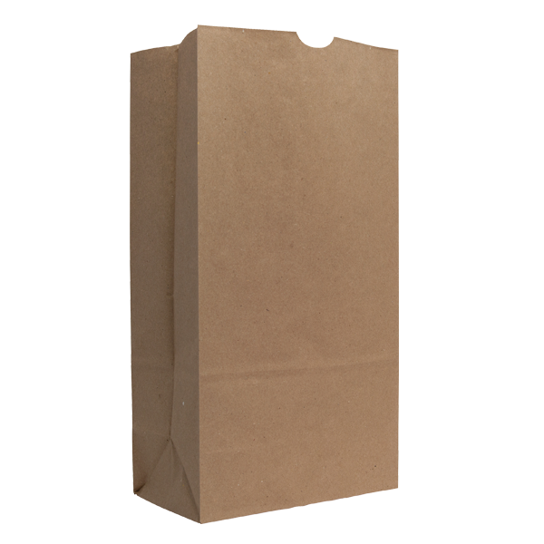 WH8051 paper bag Blank