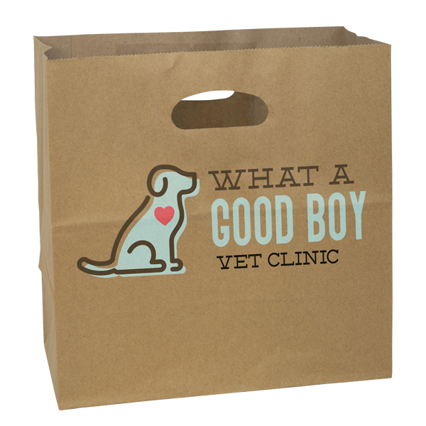 WH8108 paper bag printed