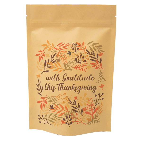 WH8227 paper Pouch bags