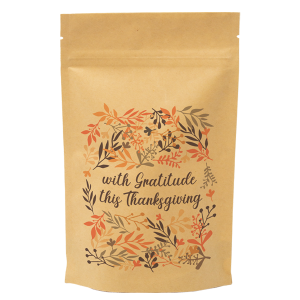 WH8227 paper Pouch bags