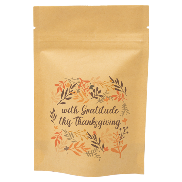 WH8227 paper Pouch bags