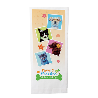 5X12X2 Full Color Food Safe Paper Bags