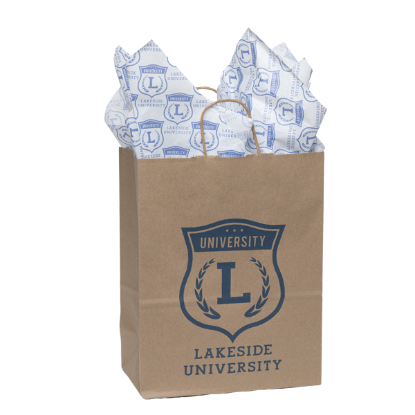 WH8456N paper bag printed