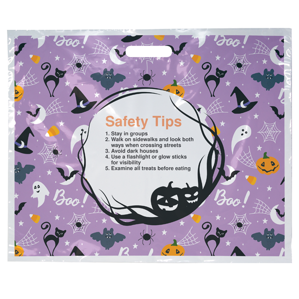 BGSCTH1S paper bag