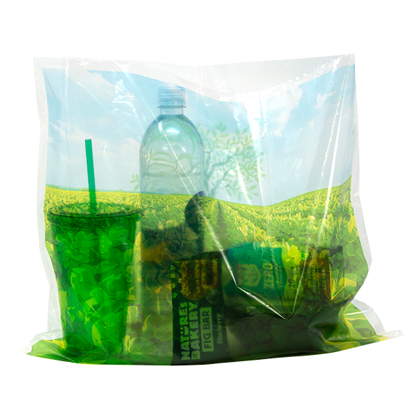 WH8067 plastic bag printed
